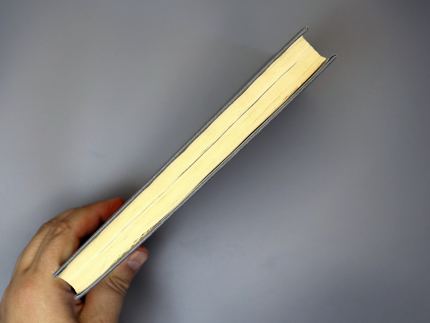 Предисловие