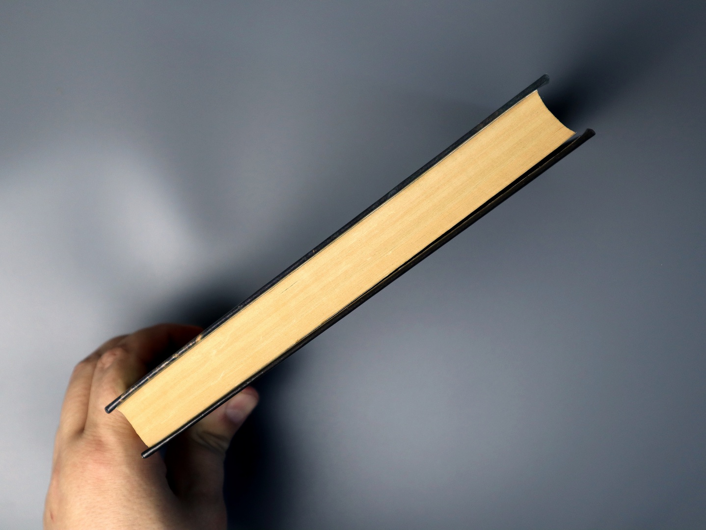 Предисловие