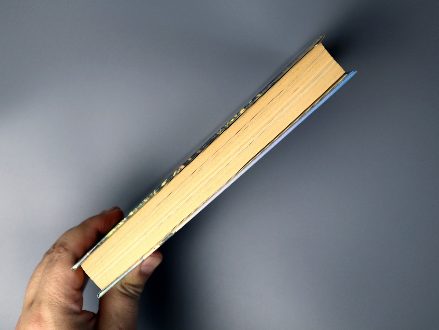 Предисловие