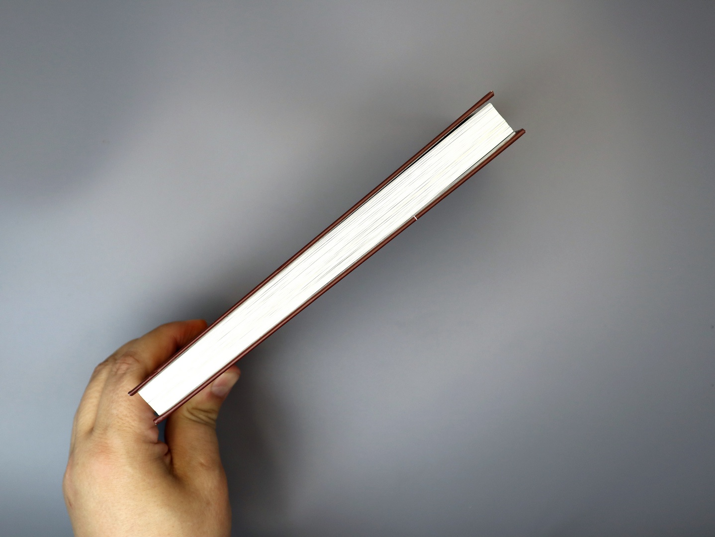 Предисловие