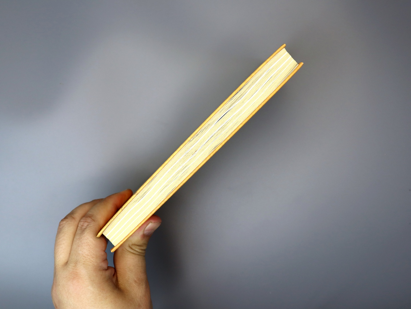 Предисловие