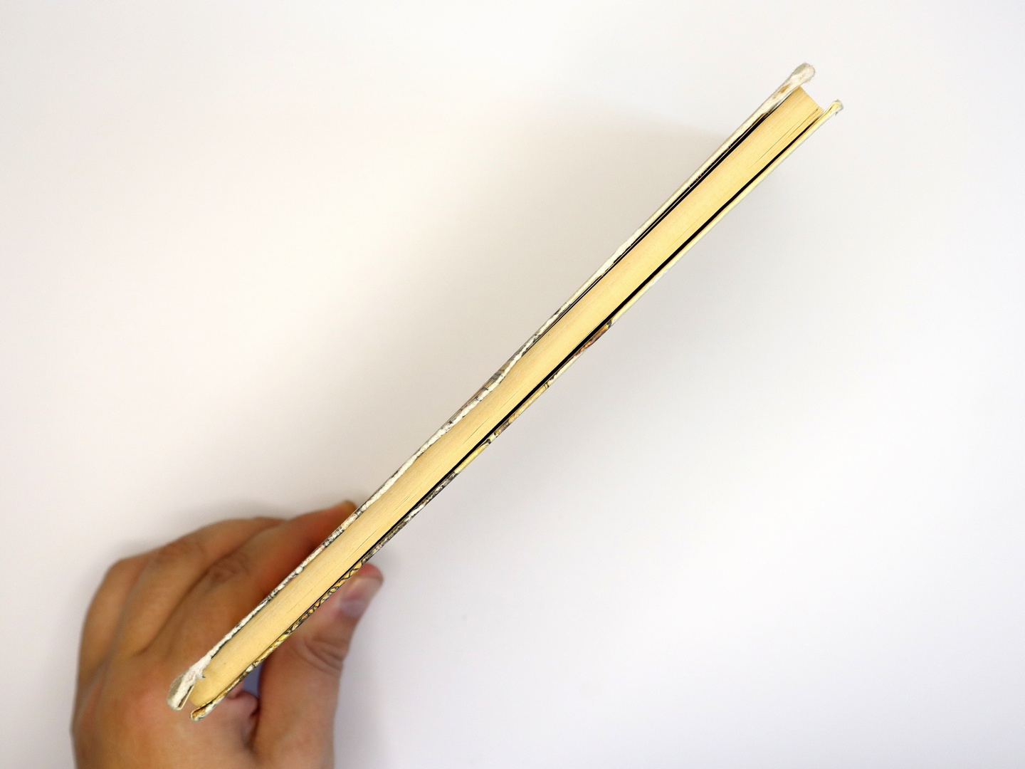 Предисловие