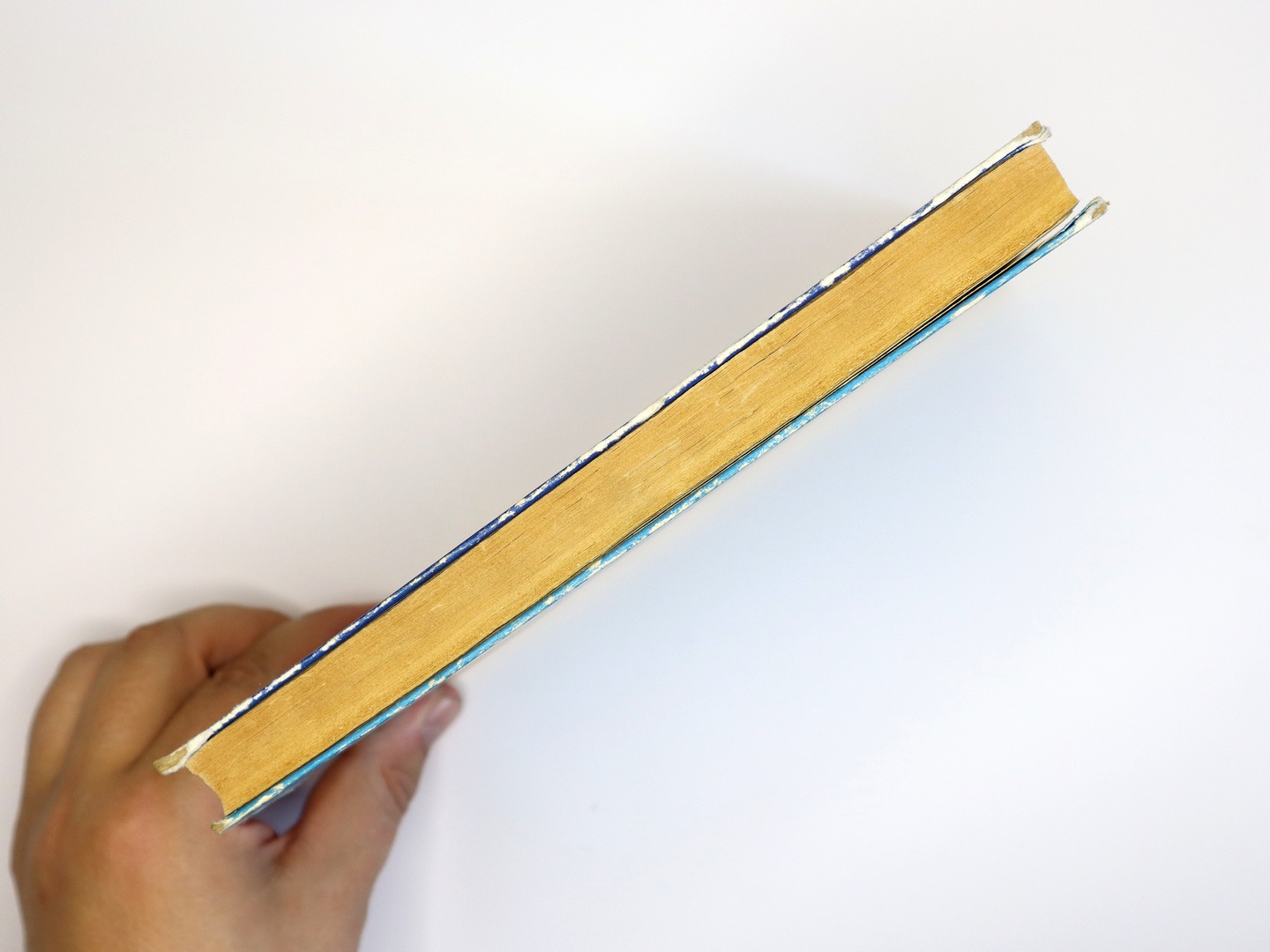 Предисловие