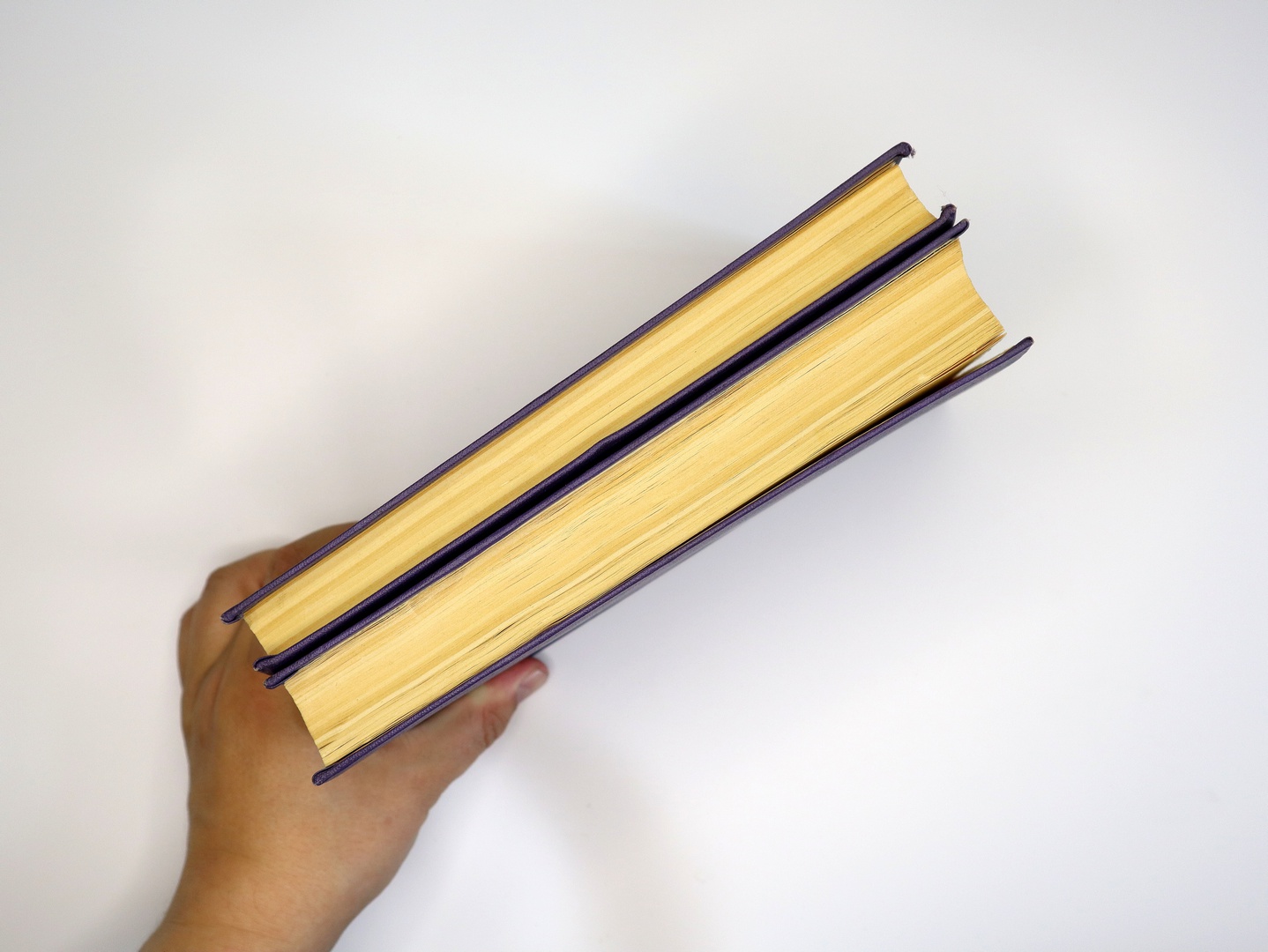 Предисловие