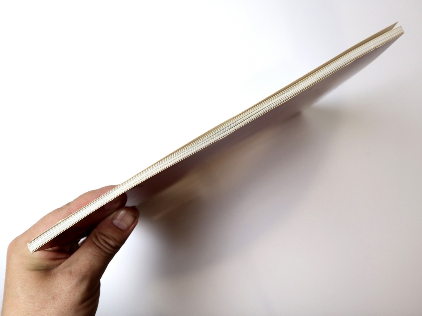 Предисловие