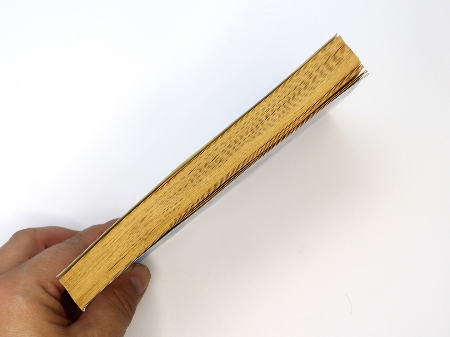 Предисловие