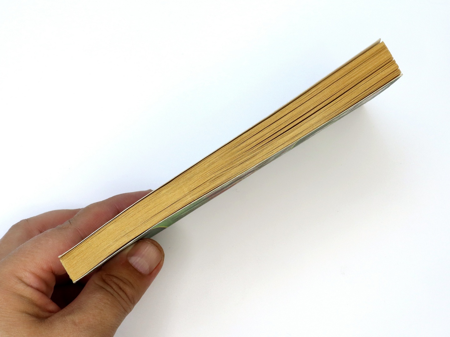 Предисловие